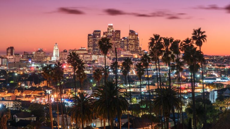 310magazine Picture of LA